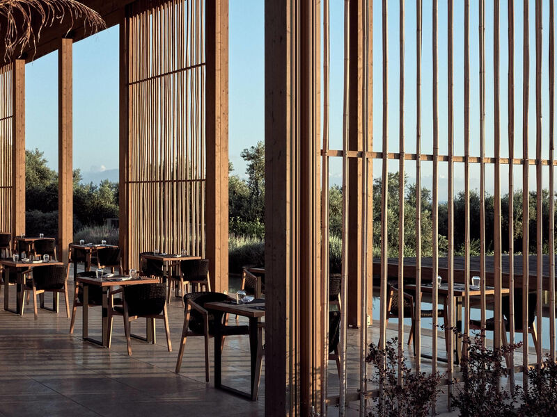 Olea All Suites