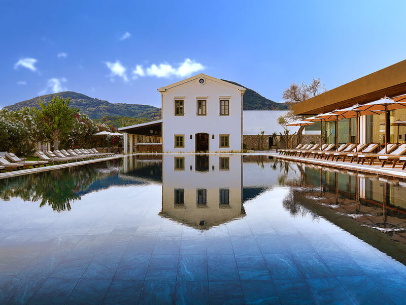 Hotel The Olivar Suites