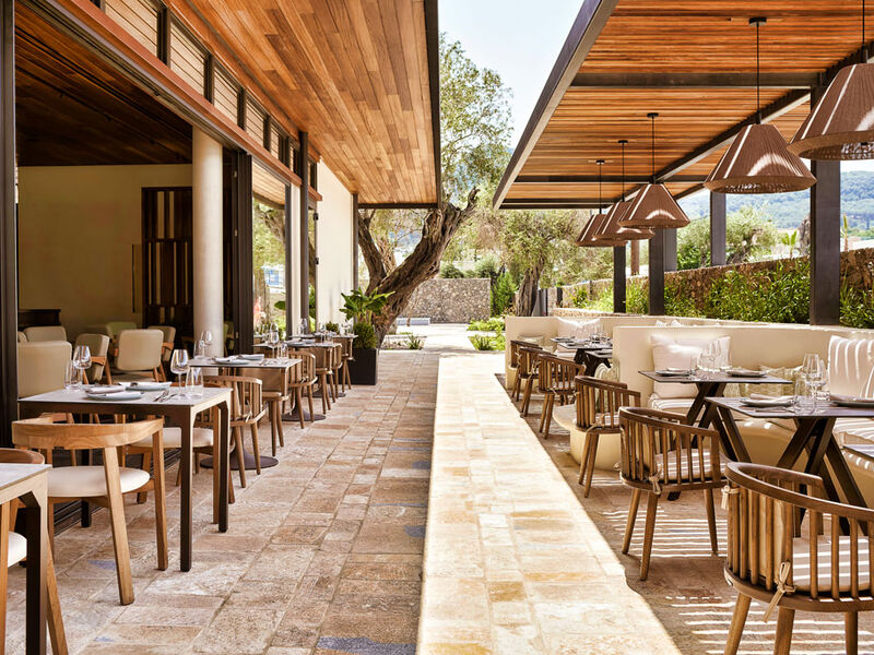 Hotel The Olivar Suites