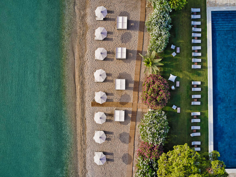 Hotel The Olivar Suites