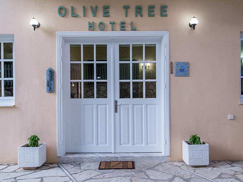 Olive Tree