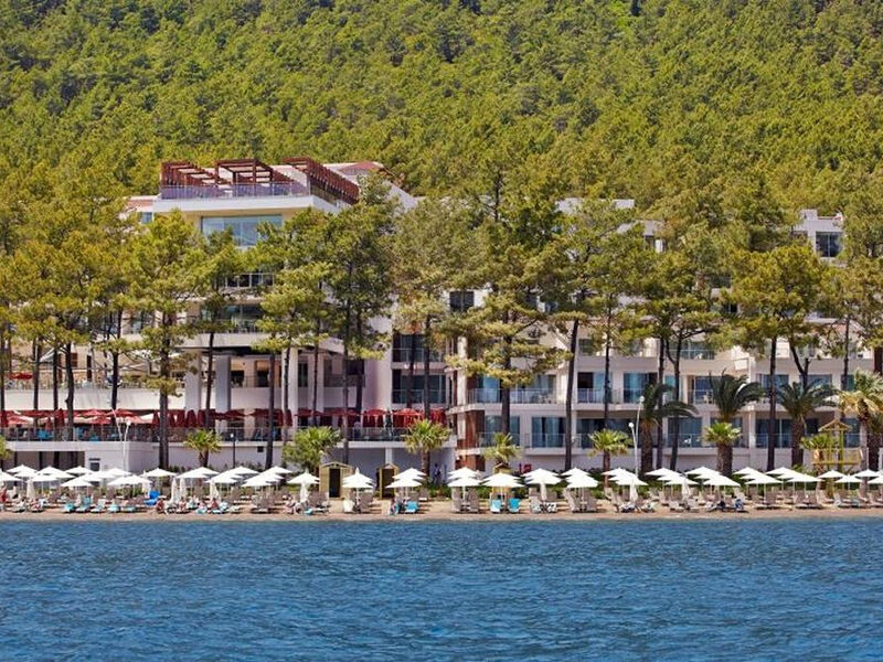Lotus beach заозерное