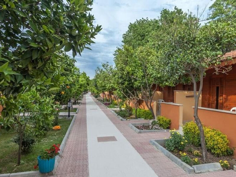 Ozlem Garden