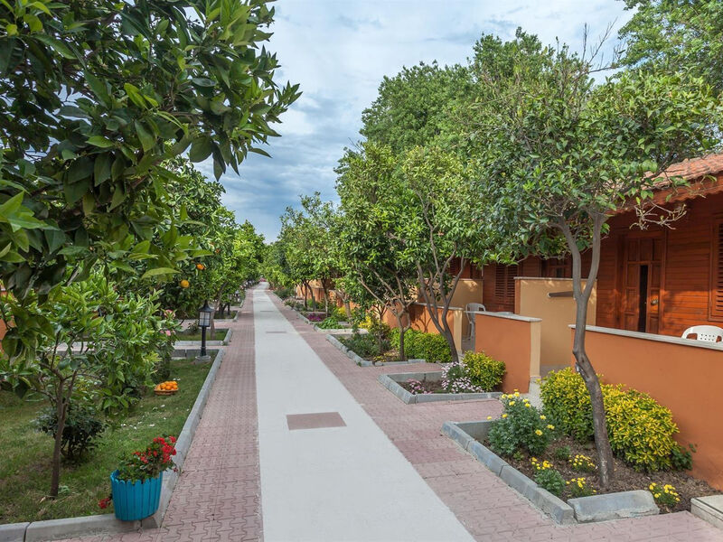 Ozlem Garden