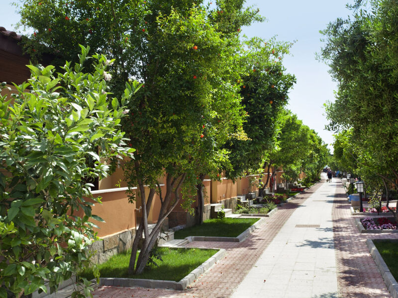 Bungalows Özlem Garden