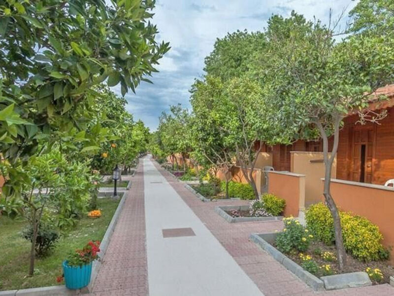 Ozlem Garden