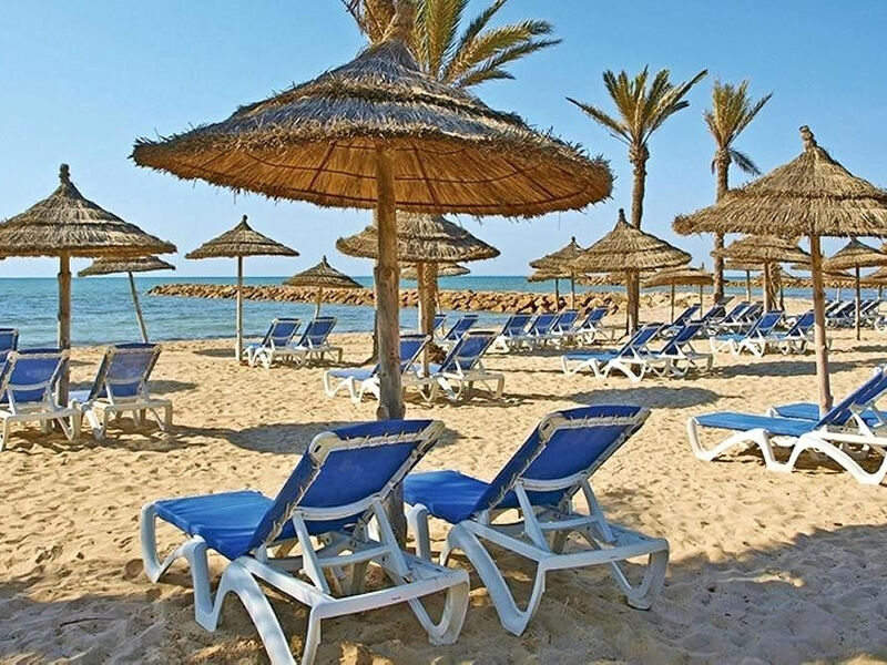 Palm Azur
