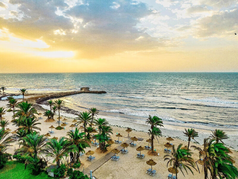 Palm Azur