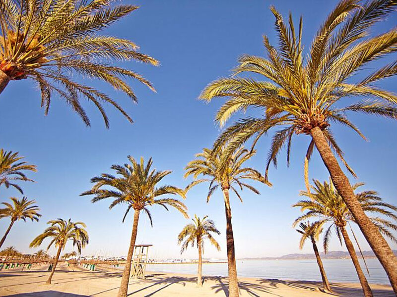 Palma Bay Club Resort