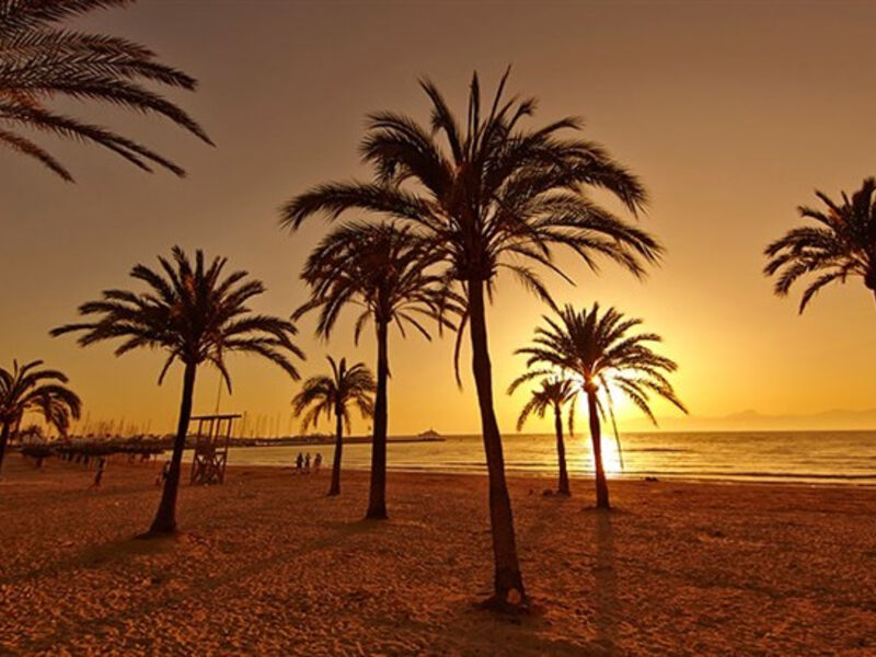 Club Palma Bay Resort