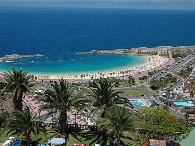 Palmera Mar