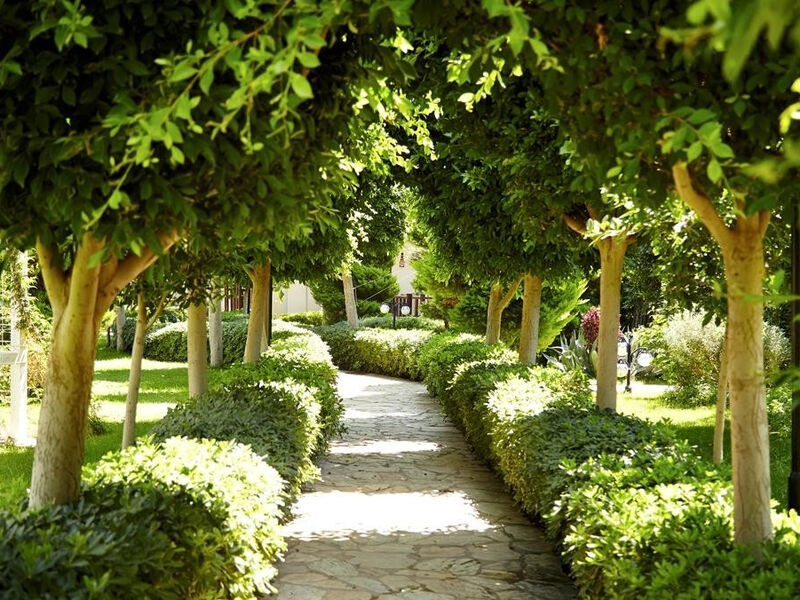 Palmet Resort
