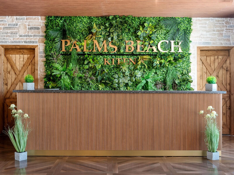 Palms Beach