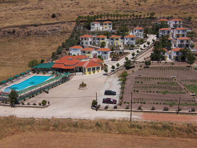 Panorama