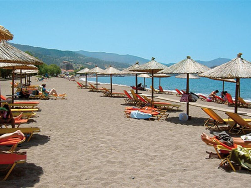 Panorama