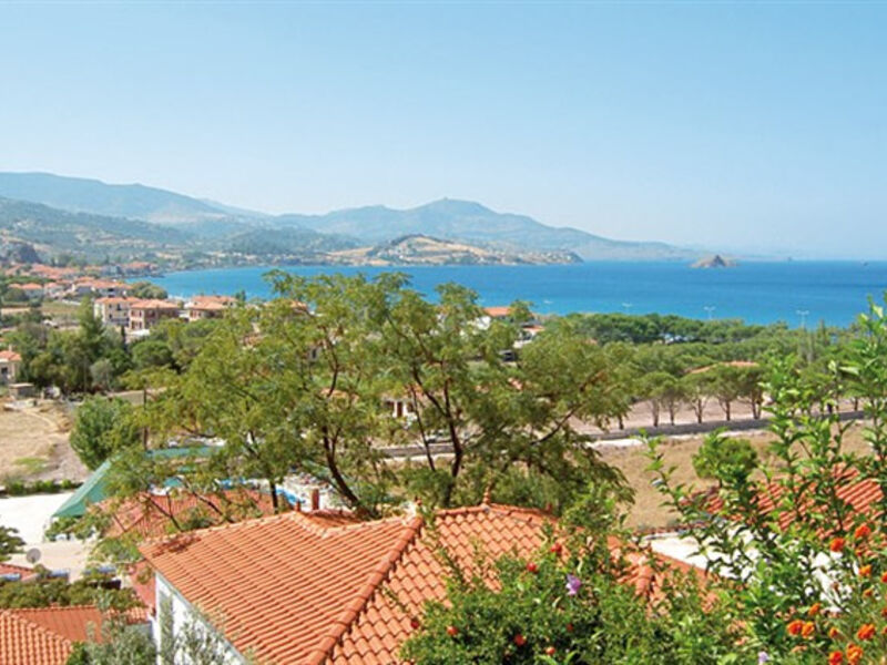 Panorama