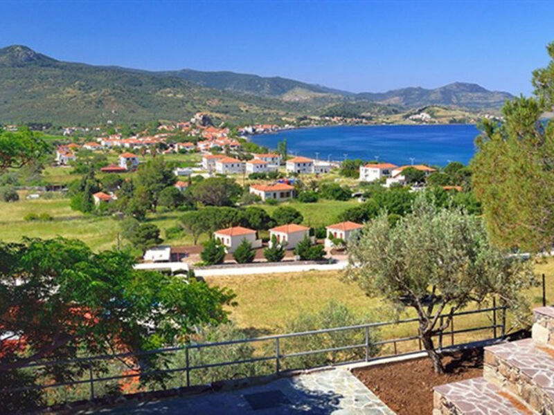 Panorama