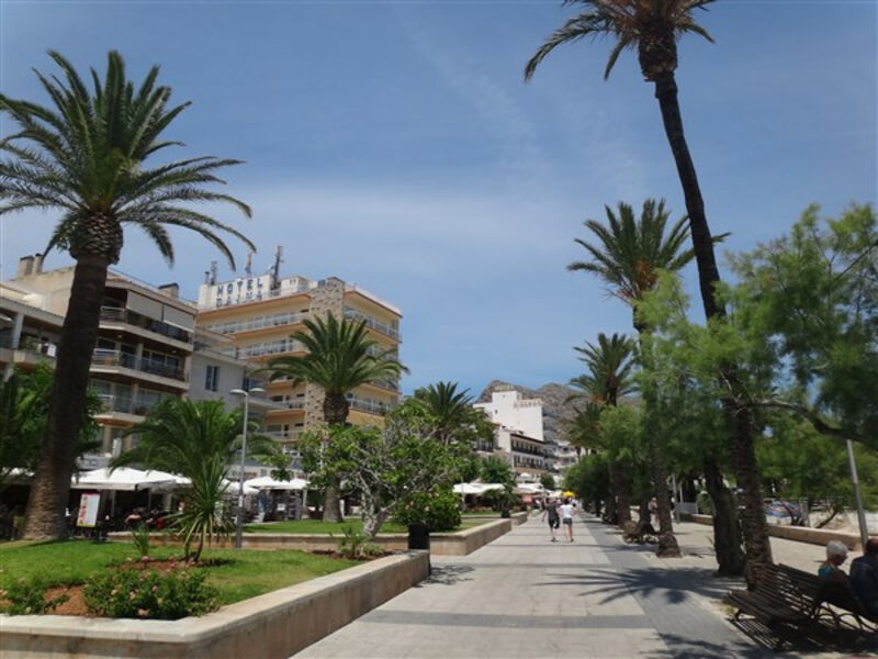 Panorama