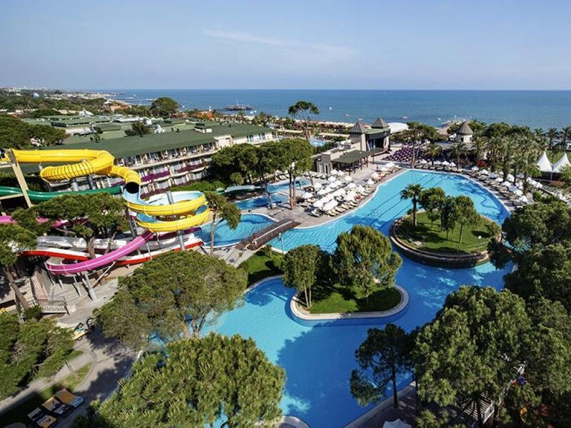 Papillon Ayscha - Select Vila