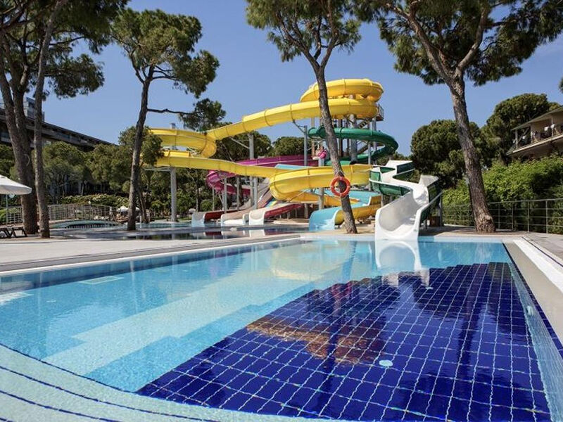 Papillon Ayscha - Select Vila