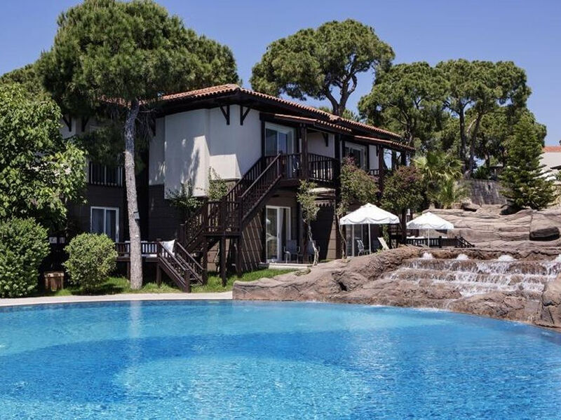 Papillon Ayscha - Select Vila