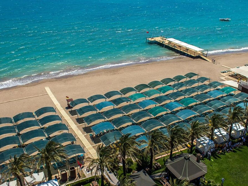 Papillon Ayscha - Select Vila