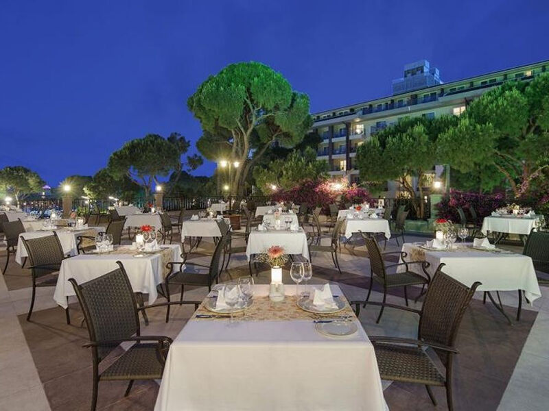 Papillon Ayscha - Select Vila