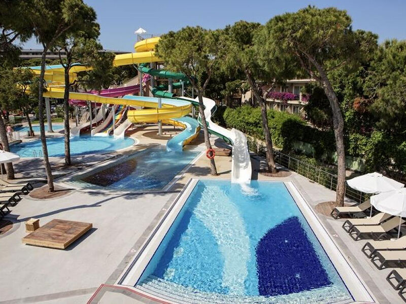 Papillon Ayscha - Select Vila