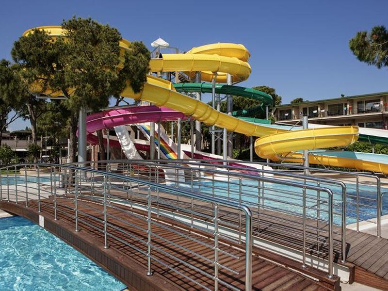 Papillon Ayscha - Select Vila