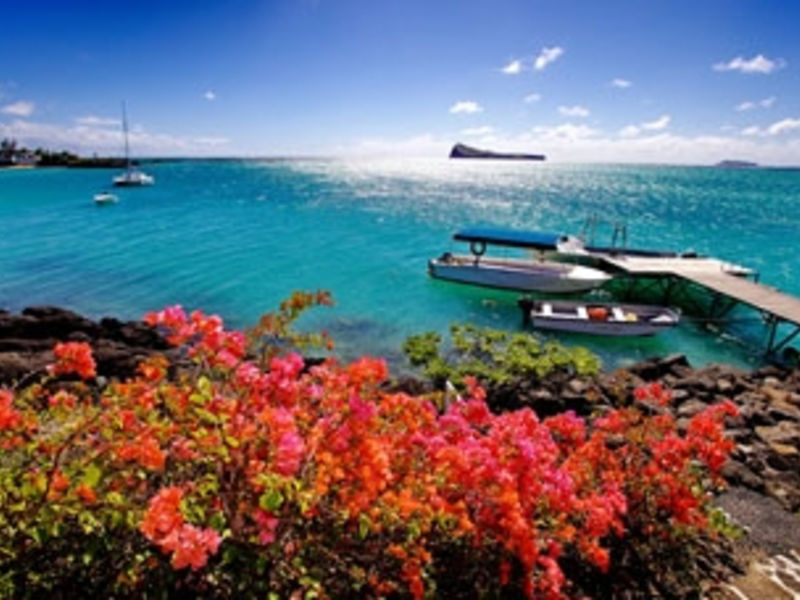 Paradise Cove