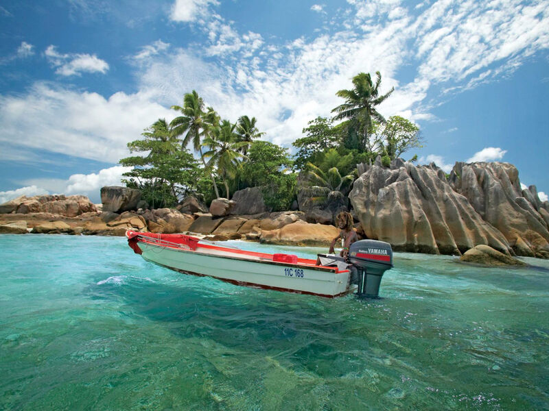 Paradise Sun