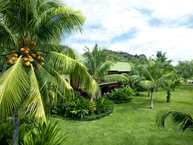 Paradise Sun