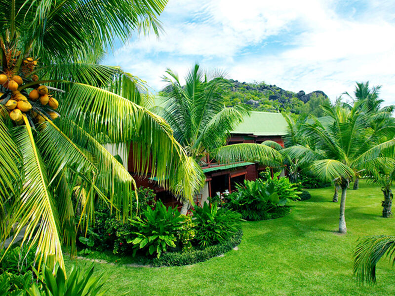 Paradise Sun
