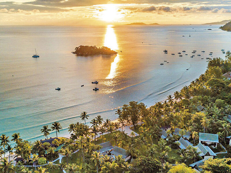 Paradise Sun