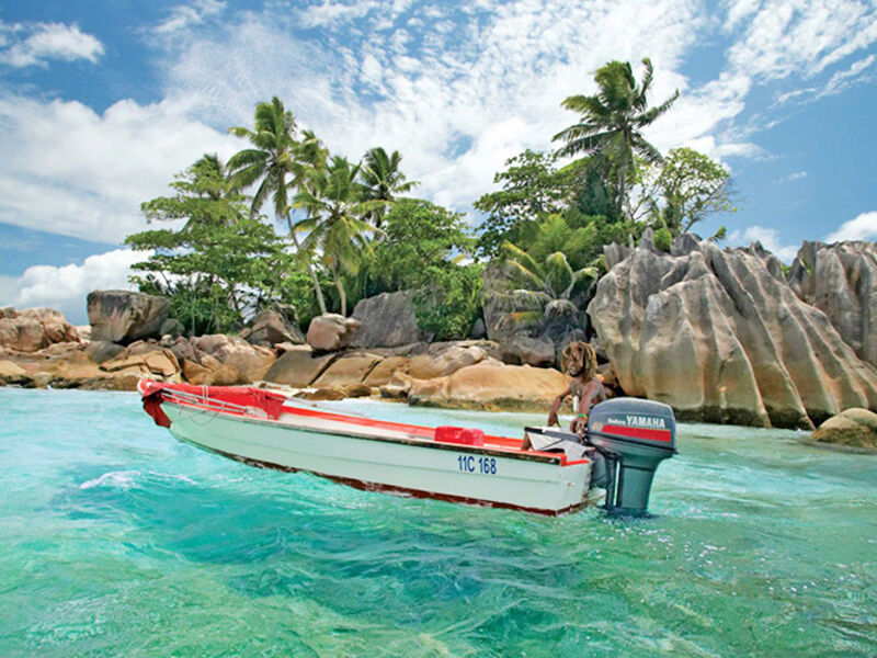 Paradise Sun