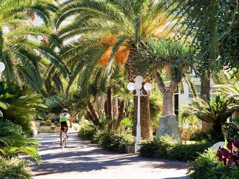 Park Terme Mediterraneo