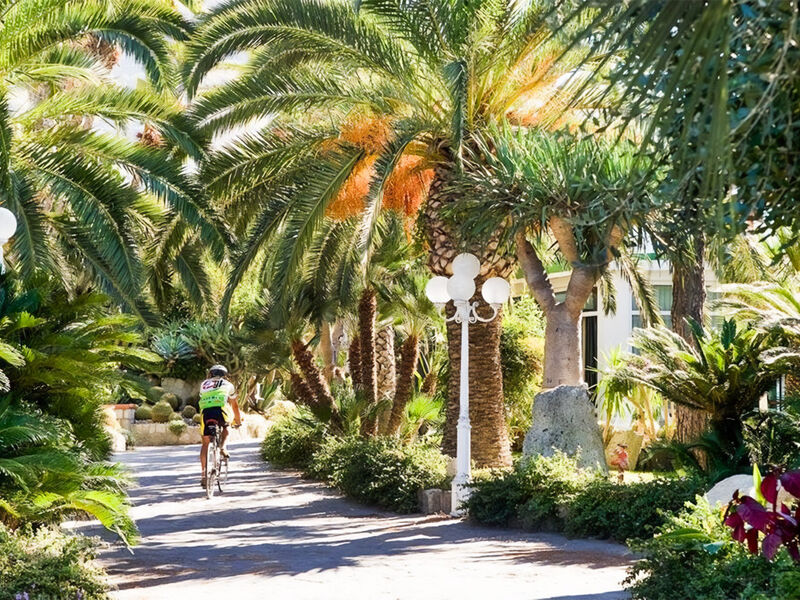 Park Hotel Terme Mediterraneo