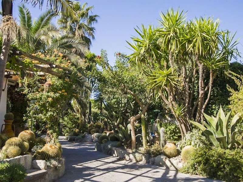 Park Hotel Terme Mediterraneo