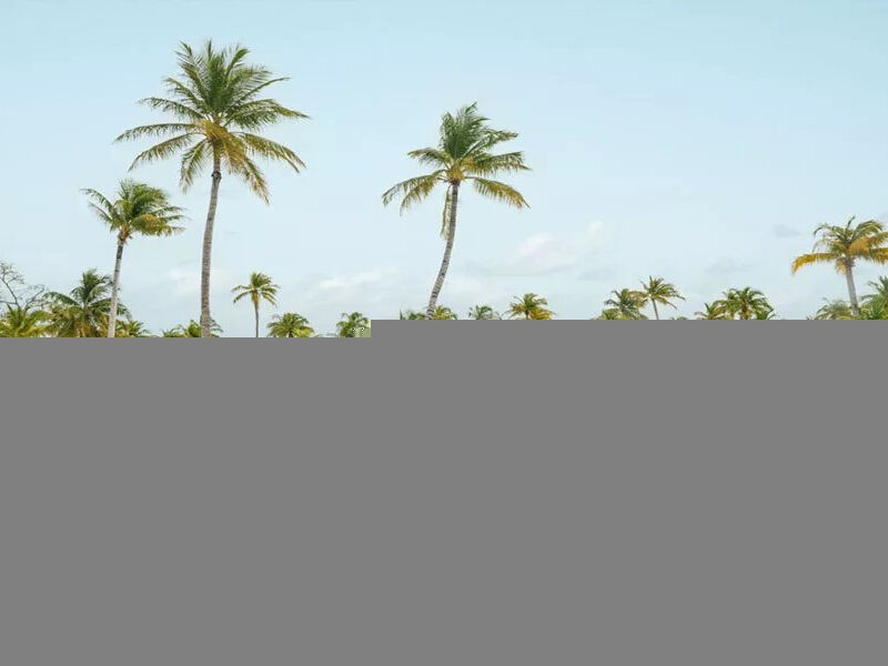 Patina Maldives Fari Islands