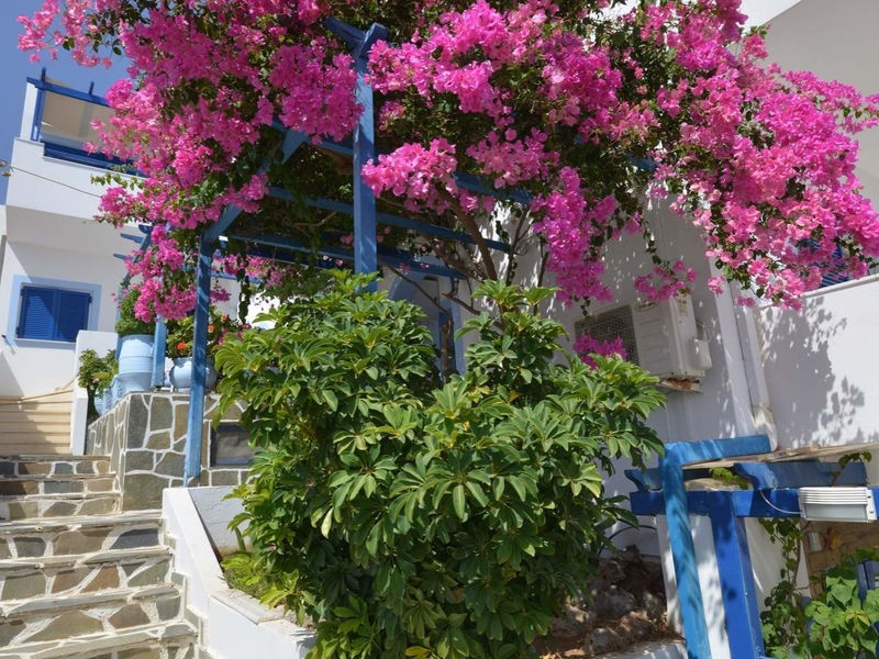 Pelagia Beach