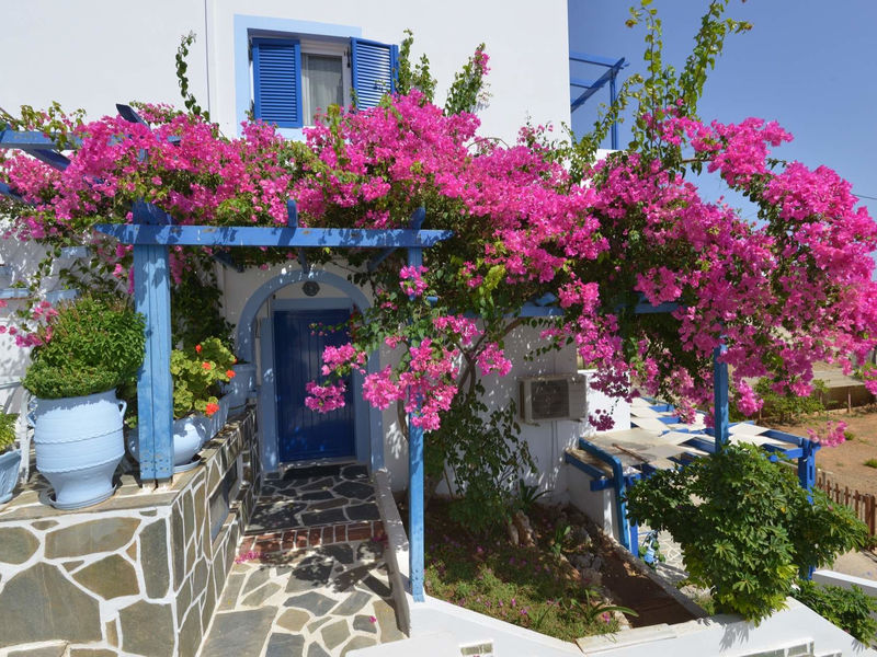 Pelagia Beach