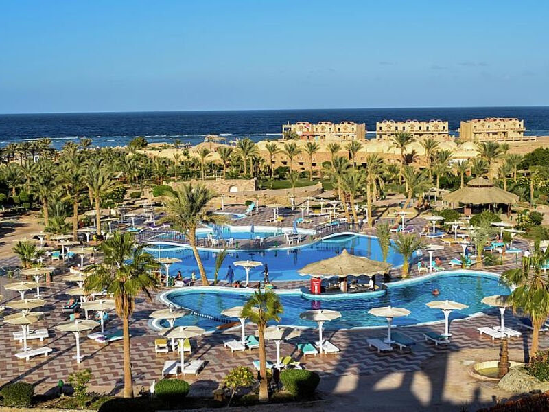 Pensée Azur Marsa Alam