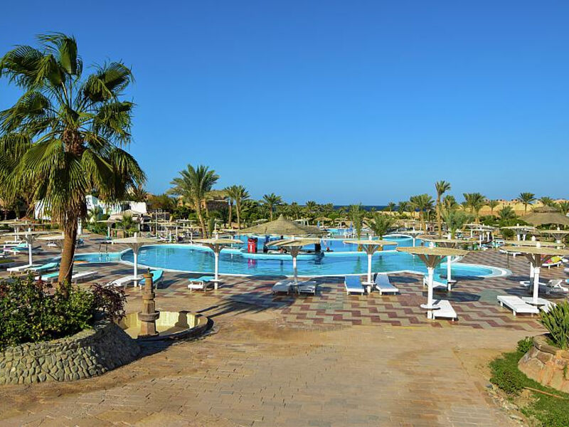 Pensée Azur Marsa Alam