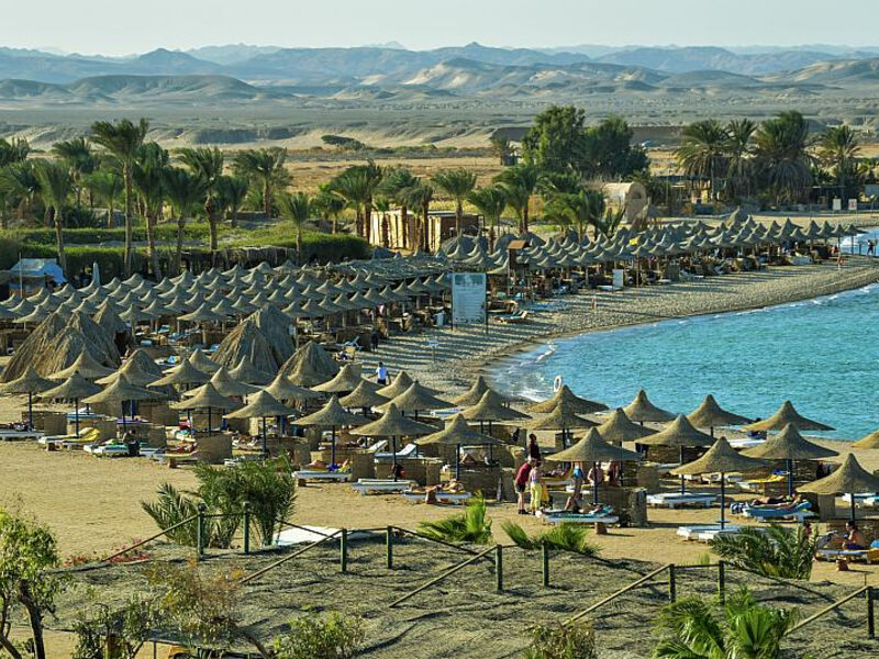 Pensée Azur Marsa Alam