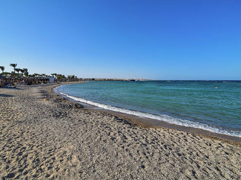 Pensée Azur Marsa Alam