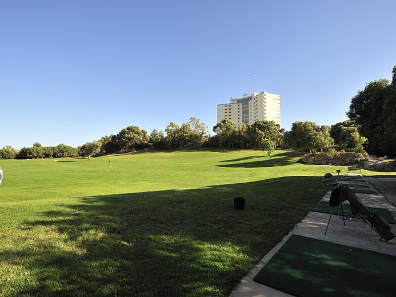 Pestana Delfim