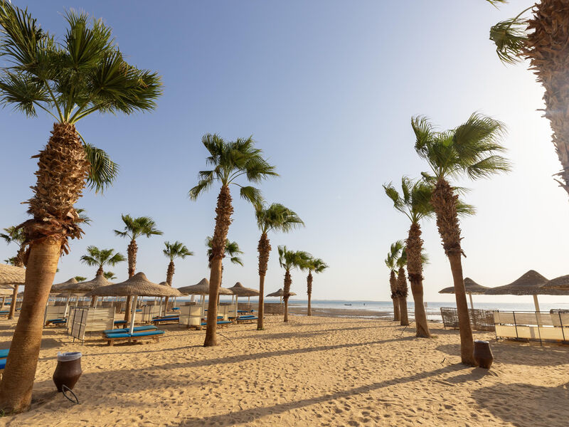 Pickalbatros Beach Club Soma Bay