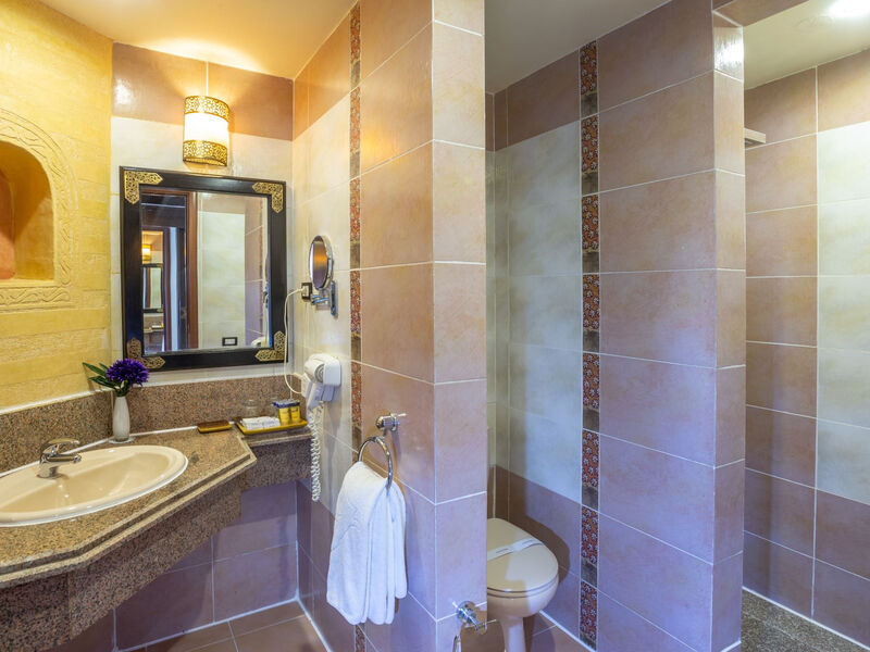 Pickalbatros Palace Resort