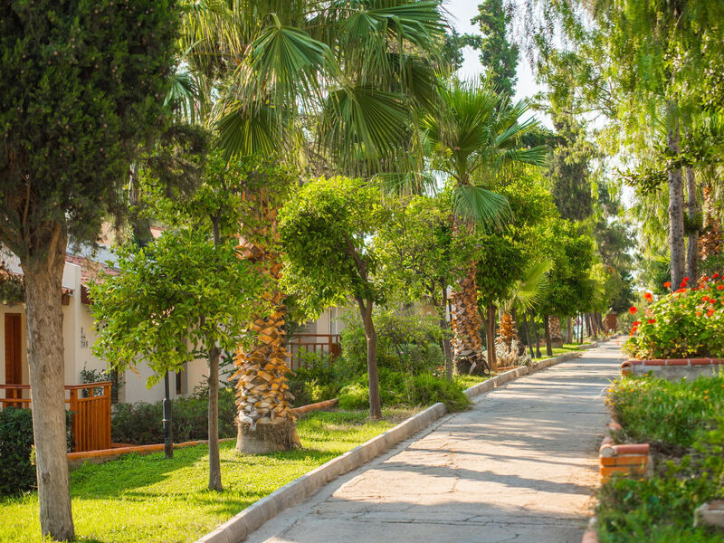 Pine Bay Holiday Resort