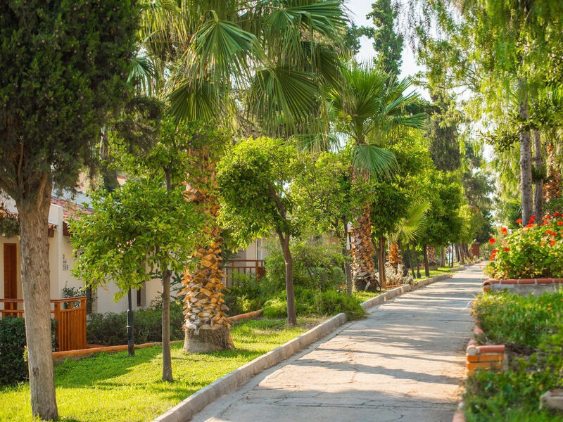 Pine Bay Holiday Resort